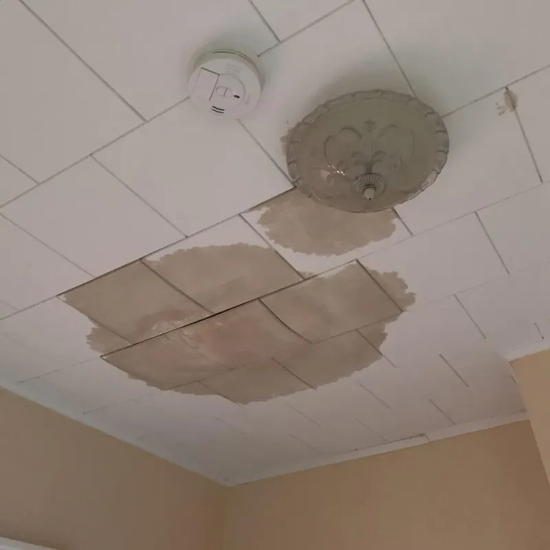 Ceiling Water Damage Repair in Trussville, AL