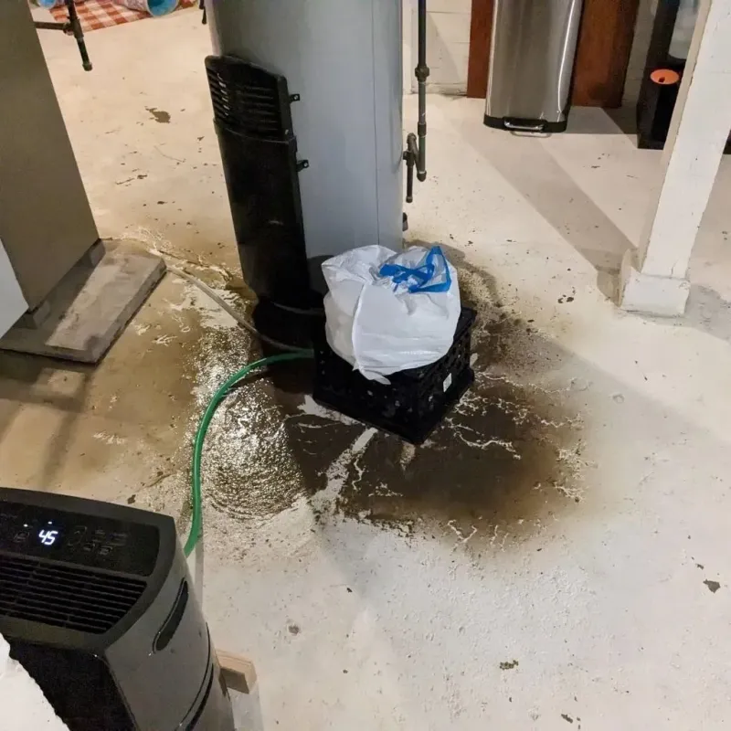 Sewage Backup Cleanup Service in Trussville, AL